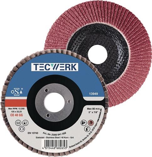 TECWERK Fächerscheibe INOX Keramikkorn CO