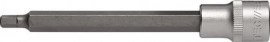 TECWERK Steckschlüsseleinsatz 1/2 ″ Innen-6-kant