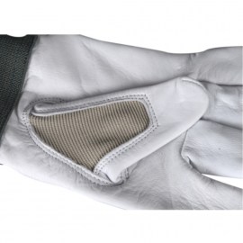f/shop/bild/zw100374.jpg